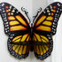 2 Artilady Corner Shelf for Crystal - PCS Boho Cute Butterfly Wall Corner Shelf Crystal Display Shelf Floating Shelves