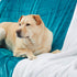 50 60 inches, Genteele Sherpa Throw Blanket Super Soft Reversible Ultra Luxurious Plush Blanket, x Teal/White