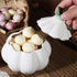 TOIVO Counterwith Garlic Keeper for Lid and Holes GarlicSaver,Garlic Holder Storage Container toKeep (white)