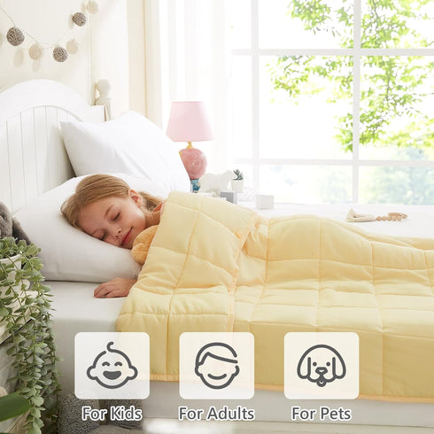 36"x48" 5lbs Summer L'AGRATY Weighted Blanket - Microfiber Material with Glass Beads Small Blanket for All-Season Fall