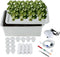 MAOPINER Indoor Hydroponic Grow Kit with Bubble Stone, 12 Sites (Holes) Bucket,