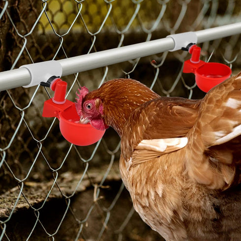12 Pack Chicken Waterer PVC Tee Fittings - Fully Automatic for Threaded Chicken Waterer Nipples/Cups/Feeders/Poultry