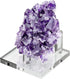 Hipiwe Clear Acrylic Display Stand - Three-Peg Display Easel Stands for Fossil Coral Geodes Rock Mineral Collectibles,