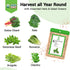 8 600+ Herb & Salad Greens Seed Pods for All Hydroponics Growing Systems, Pods with Seeds of Basil, Cilantro, Romaine