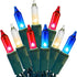 HISHINY Red White Blue 4th of July Patriotic Decorations Lights 100 Count