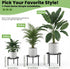 7.9-inch TOSKING Heavy Duty Metal Plant Stand - Decorative Round Plant Stand, Adjustable Leveling Feet & Rust-Resistant