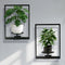 SUNLITOPTO Plant Wall Shelf, Metal Modern Style Frame, Picture Wall Plant Holder, Plant