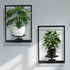 SUNLITOPTO Plant Wall Shelf, Metal Modern Style Frame, Picture Wall Plant Holder, Plant