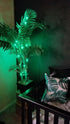 2 Pack 33ft 100 USB Plug-in Fairy Lights, Mini LED String Lights with Black Green Wire for Bedroom Wedding St.