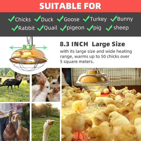 LEWINHOOK lamp300 Chicken Coop Heater Inside Coop heat Watt Two-Stage Temperature Brooder Heater for Chicks