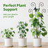 2 Pack 30 Inch Taller Plant Trellis for Potted Climbing Plants Indoor,Expandable Metal Garden Trellis for Climbing