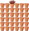 Yishang 1.9 Inch Tiny Terracotta Pots - Pack of 36 Mini Clay Pots with Drainage Holes for Succulent Plants