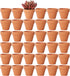 Yishang 1.9 Inch Tiny Terracotta Pots - Pack of 36 Mini Clay Pots with Drainage Holes for Succulent Plants