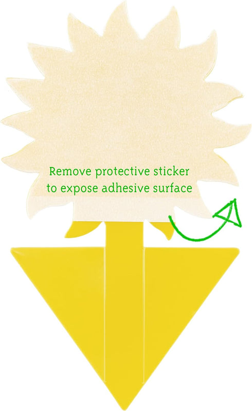Yellow Sticky Traps for Gnats: 60x Indoor Sticky Fly Traps for House Plants, Fruit Fly Trap OwnGrown