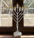 Ner Mitzvah Hanukkah Menorah with Glass Oil Cups - Elegant Holders for Shabbos and Chanukah, Size #3 (9-Pack)