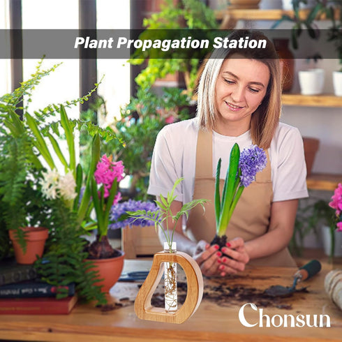Plant Propagation Stations Wall Hanging Terrariums Home Decor Plants Glass Test Tube Planter with Wooden Stand