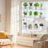 3-Tier Tlence Hanging Clear Plant Shelves, Acrylic Window Flower Display Shelf, Height Adjustable Indoor Wall Plant
