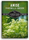 Anise Seeds for Planting - Sweet Anise Herb (Pimpinella anisum) - Culinary