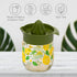 Crystalia Manuel Citrus Juicer with Glass Storage Jar - Handheld Juice Press Extractor for Lemon, Orange, Lime,