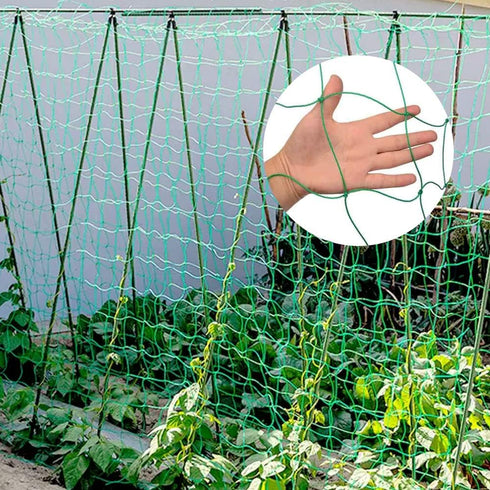 Yahpetes Garden Netting 1 Pcs Heavy Duty Climb Net 6'X6' for Plant Vine Support