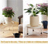 Furshus Stand,5 Pack Plant Heavy Duty Flower Pot Stands,Metal Decoration Racks,Round Plant Shelf for Planter Outdoor