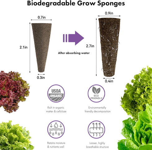 System,350 (12-Pods) LYKOCLEAN Salad Romaine Lettuce Seed Pods for AeroGarden,Ahopegarden, iDOO Hydroponics Growing