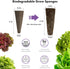 System,350 (12-Pods) LYKOCLEAN Salad Romaine Lettuce Seed Pods for AeroGarden,Ahopegarden, iDOO Hydroponics Growing