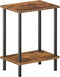 HOOBRO End Table, Small Side Table, Nightstand with 2-Layer Storage Shelves, Sofa
