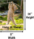 Hang in There Cat Poster, 11 x 14 Inch, Premium Cardstock, Funny Motivational Decor for Home or Office