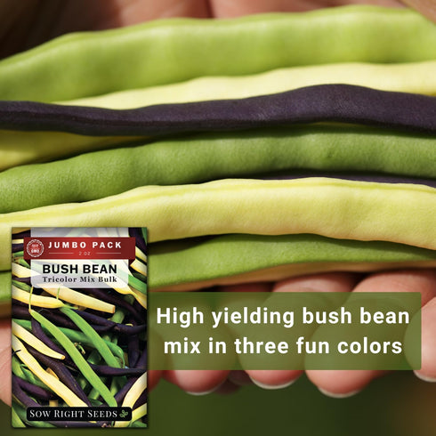 2 170 Pack (1) Sow Right Seeds - Bulk Mixed Tricolor Bean Seeds for Planting - Ounce, Seeds - Non-GMO Heirloom Jumbo