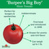 125 Burpee Big Boy Tomato Seeds seeds