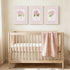Set 3 12x16 Inch Pink Hydrangea Nursery Wall Art for Girls Room, of Framed Pink Floral Canvas Prints, Shabby Chic