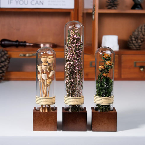 3Pcs Dried Flower Decor,Knick Knacks for Shelves,Cool Stuff for Bookshelf,Small Plants Decor for Office Shelves,Natural