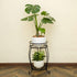 2 FaithLand Plant Stand, Heavy Duty Metal Planter Holder Indoor Outdoor, Tier Round Potted Supports Rack, Corner