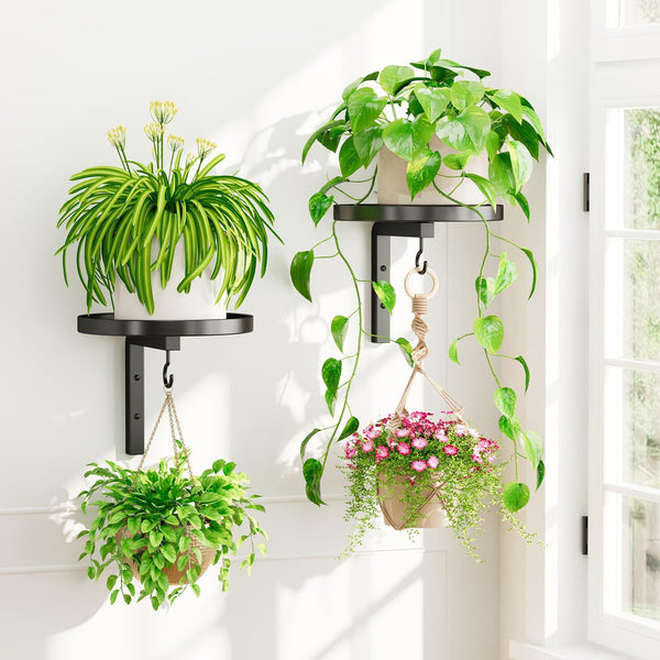 iDavosic.ly Wall Plant Holder Set of 2 for Indoor Outdoor, Metal Hanger