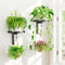 iDavosic.ly Wall Plant Holder Set of 2 for Indoor Outdoor, Metal Hanger