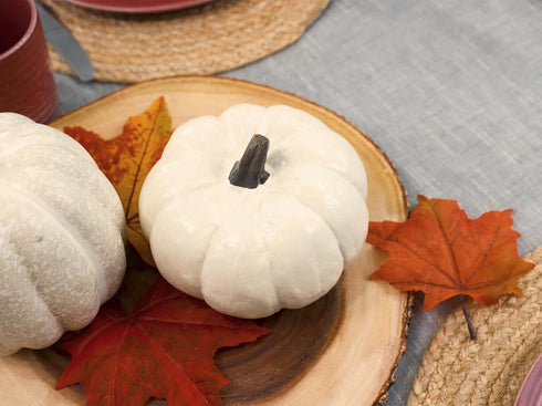 Elanze Designs Classic White Decorative Pumpkins Pack of 2, 6 Inch Resin Harvest