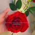 20 6.56ft Fielegen LED Rose Vine Lights with Timer, Artificial Flower Garland String Lights Hanging Rose Fake Plants