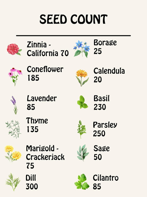Set 12 Medicinal Herb and Flower - Varieties of Non-GMO & Heirloom Flowers and Herbs - Basil, Cilantro, Calendula