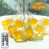 3D 10ft 15 Summer Beer Mug String Lights St Patrick's Day Decor, LED with Remote Control USB & Battery Powered for Bar