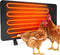 Econohome Safe Chicken Coop Heater, Safer Than Brooder Lamps, Gently Warm, 150