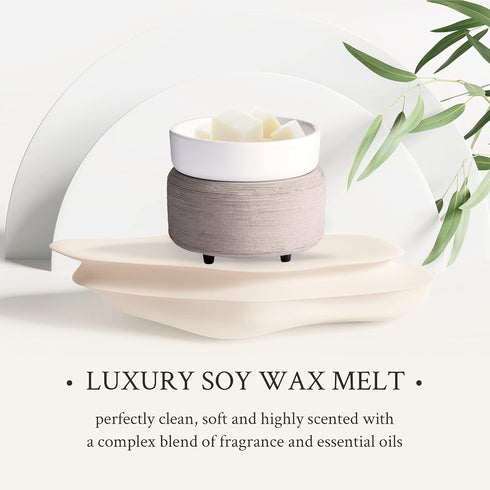 Hand Poured Scented Soy Wax Melts for Home Fragrance, Assorted Aromas by The Rustic House, Aromatherapy (Cactus Bloom)