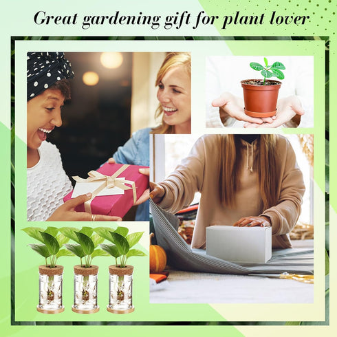 9 Packs Baderke Propagation Vases for Plants Plastic Plant Propagation Station with Hole Lid and Bamboo Stand Growing