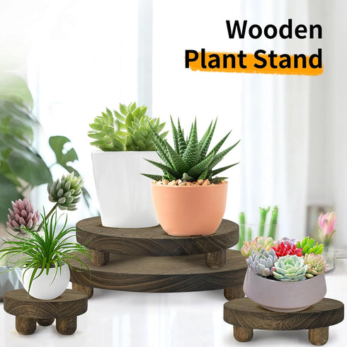 DEMULANS Set 4,mini 10 8 6 4 Inch, Counter Brown-4pack) Wood Plant Stand of Plant Stool Wooden Display Risers Round