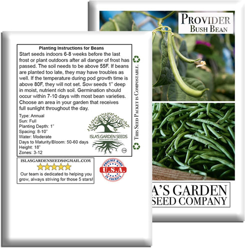 30+ Provider Bush Green Bean Seeds (Phaseolus vulgaris) Non-GMO Heirloom by Islas Garden, Early Harvest Variety