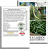 30+ Provider Bush Green Bean Seeds (Phaseolus vulgaris) Non-GMO Heirloom by Islas Garden, Early Harvest Variety