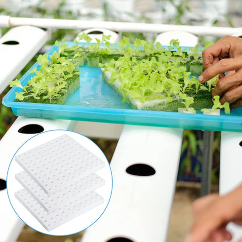 600 XIDAJIE Pcs Hydroponic Sponges Planting Gardening Tool Soilless Cultivation Seedling Sponges Cultivation Sponge