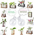 Bulb 1.18 2 Pack Kingbuy Glass Vase with Side-Hole (Hole to Hole Opening Dia.: in) for Replacement Planter Terrarium