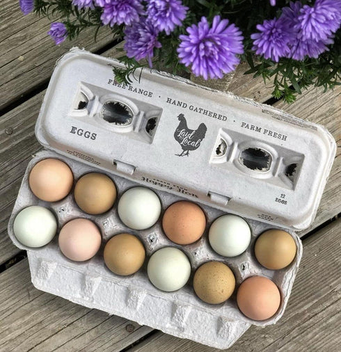 25 (25, Egg Cartons- Adorable Printed Vintage Design for Farm Fresh Eggs, Recycled Paper Cardboard, Sturdy & Reusable