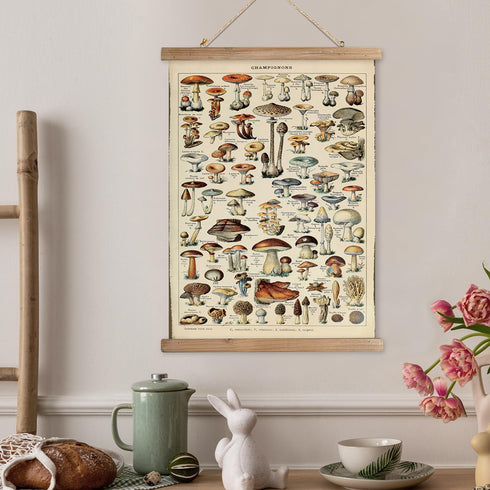 12 16 Inches XIAOAIKA Vintage Mushroom Poster with Wooden Frame - Classic Botanical Print with Variety of Fungi Species